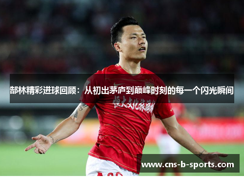 郜林精彩进球回顾：从初出茅庐到巅峰时刻的每一个闪光瞬间