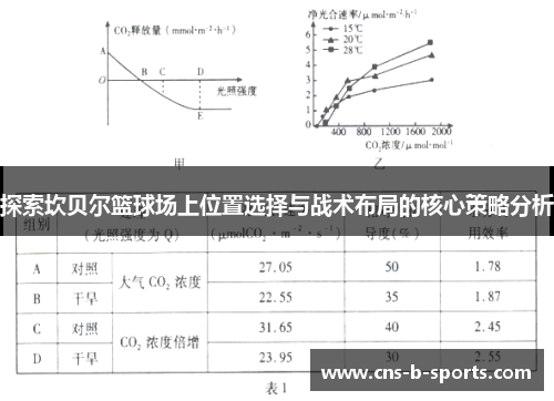 探索坎贝尔篮球场上位置选择与战术布局的核心策略分析 探索坎贝尔篮球场上位置选择与战术布局的核心策略分析