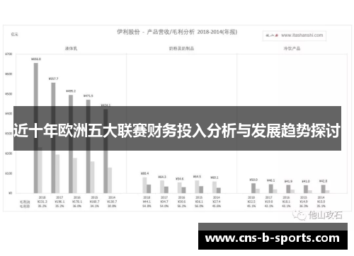 近十年欧洲五大联赛财务投入分析与发展趋势探讨
