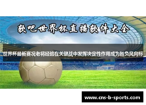 世界杯最新赛况老将经验在关键战中发挥决定性作用成为胜负风向标