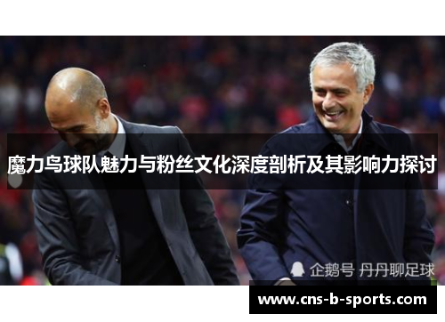 魔力鸟球队魅力与粉丝文化深度剖析及其影响力探讨