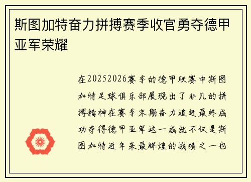 斯图加特奋力拼搏赛季收官勇夺德甲亚军荣耀