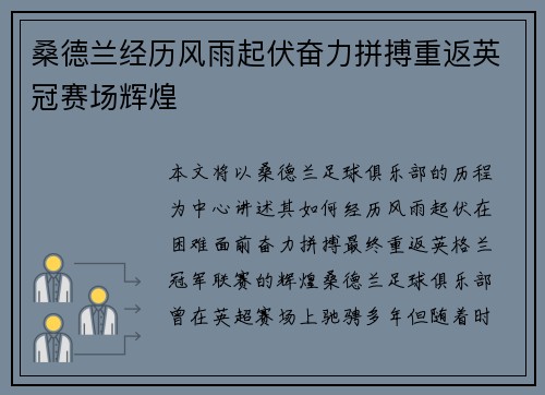 桑德兰经历风雨起伏奋力拼搏重返英冠赛场辉煌